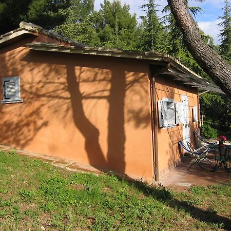 Malvarina Capodacqua  Bagian luar foto