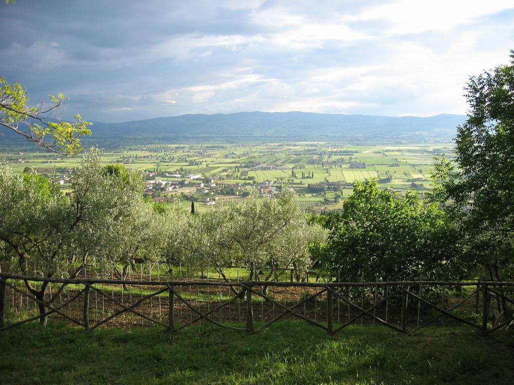 Malvarina Capodacqua  Bagian luar foto