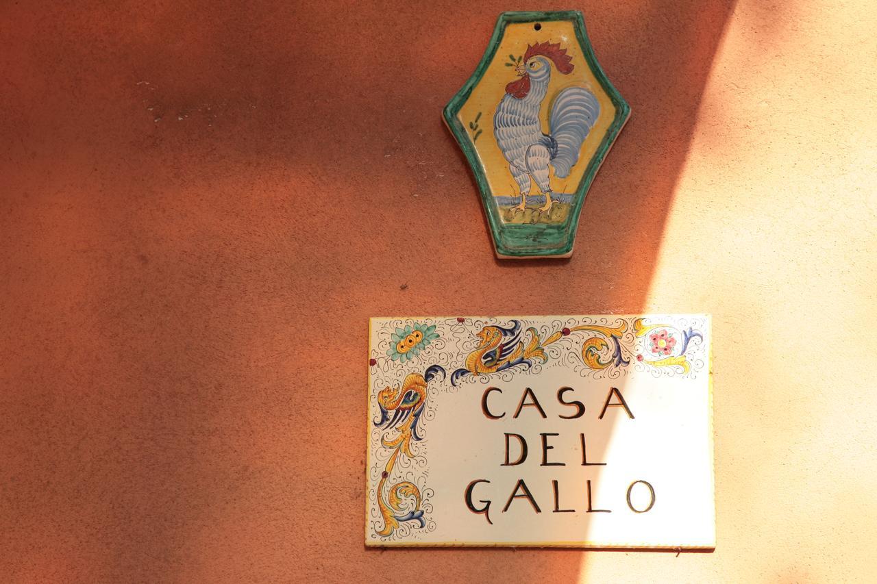 Malvarina Capodacqua  Bagian luar foto